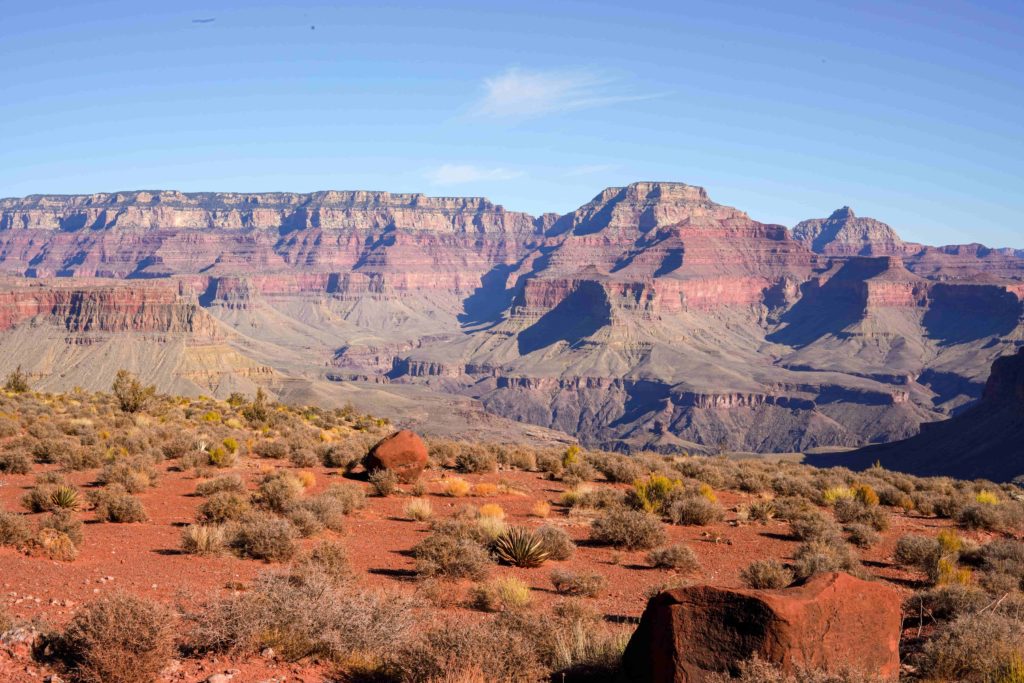 arizona