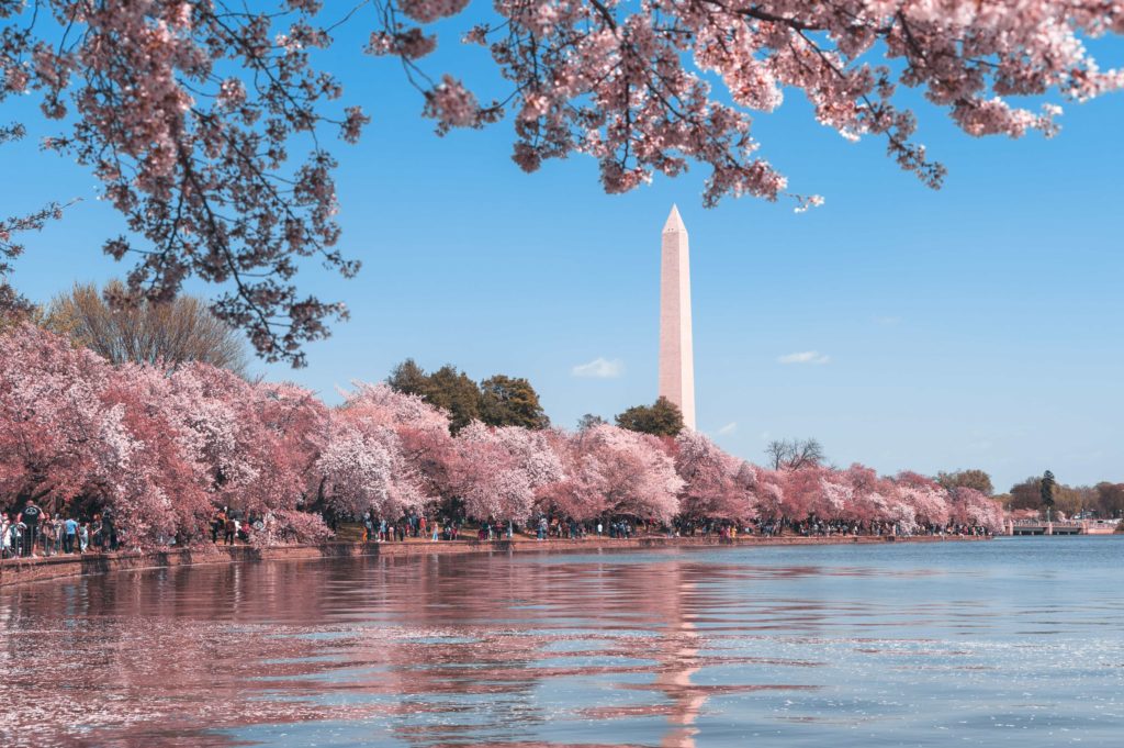 washington d.c.